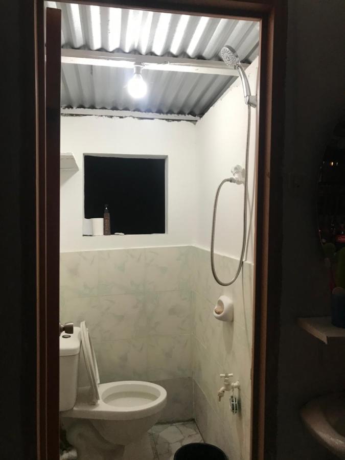 Hostel Lions مامباجاو المظهر الخارجي الصورة